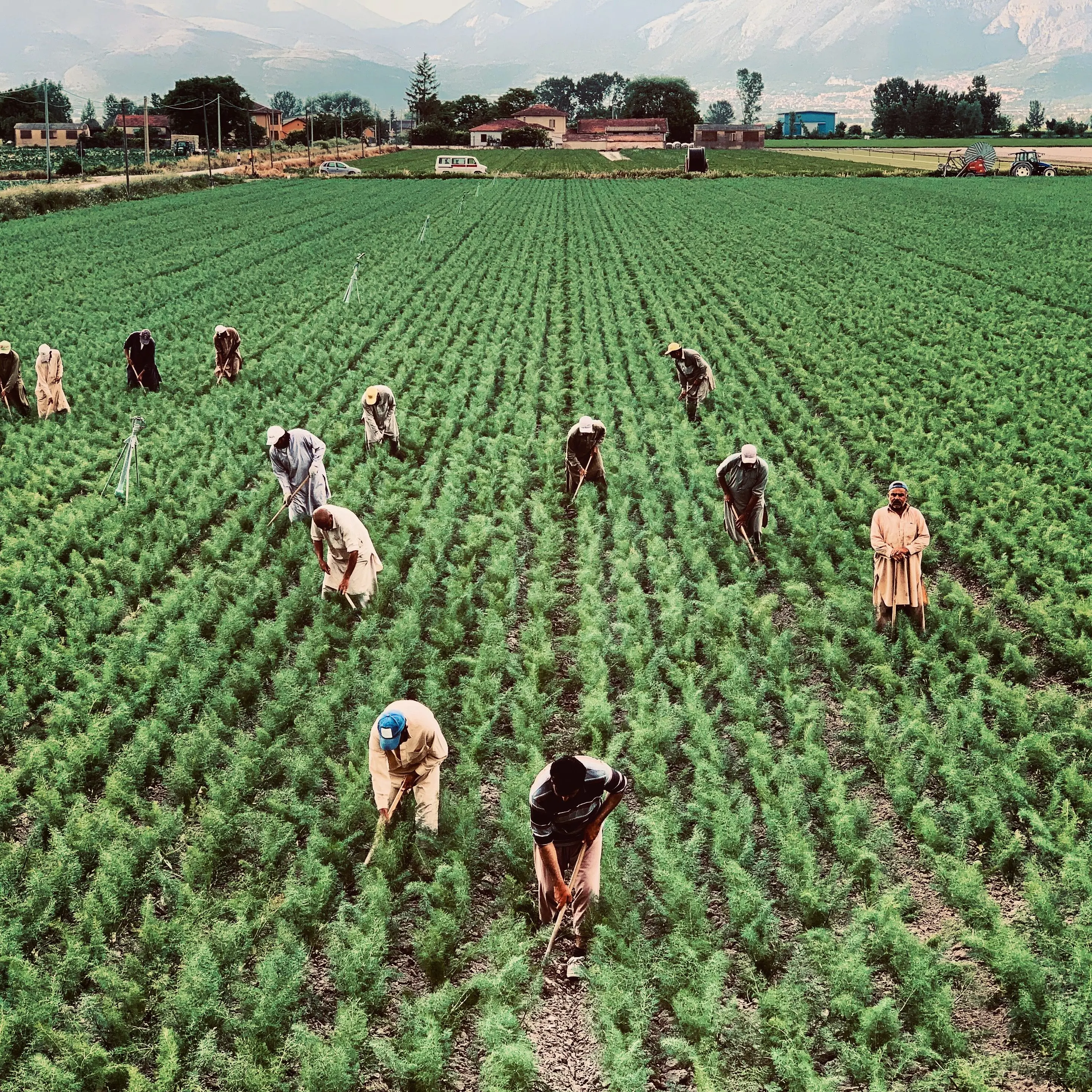 Agriculture sector worksite